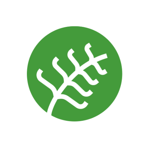 Figma profile picture for @botany