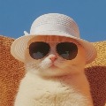 Design_유지은