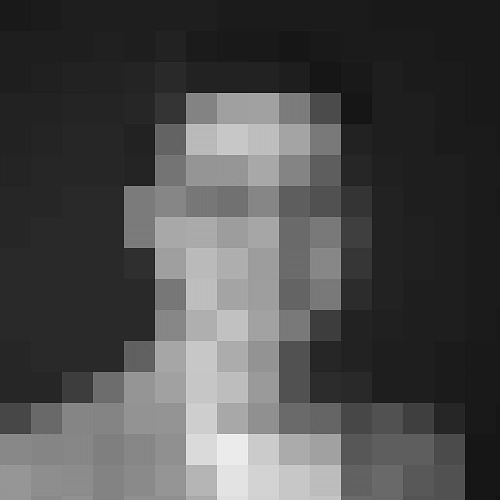 Figma profile picture for @nl