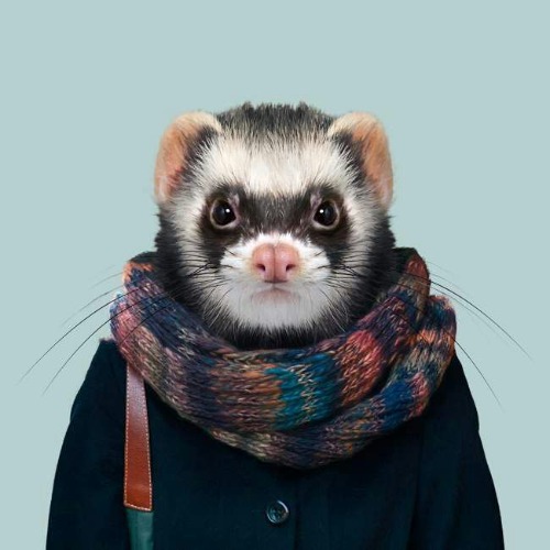 Figma profile picture for @fedora