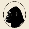 Built by APE