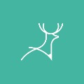 Deer Designer