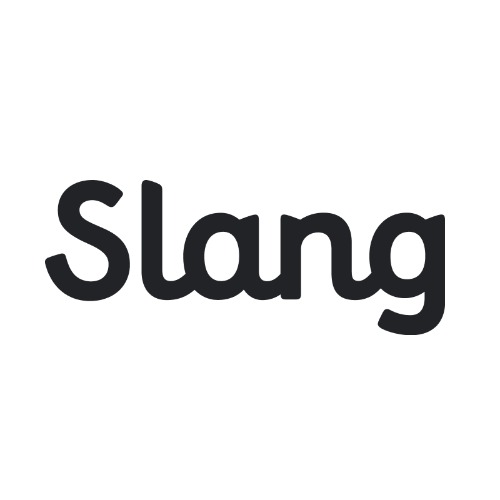 Figma profile picture for @slang