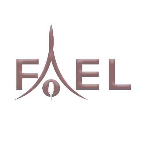 Figma profile picture for @fael4real