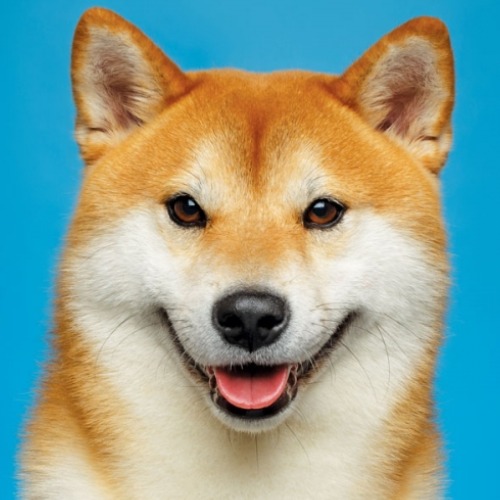 Figma profile picture for @transcendent