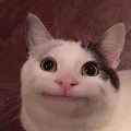 Peter