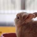 いまだゆうご