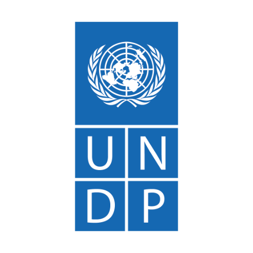 Figma profile picture for @undp
