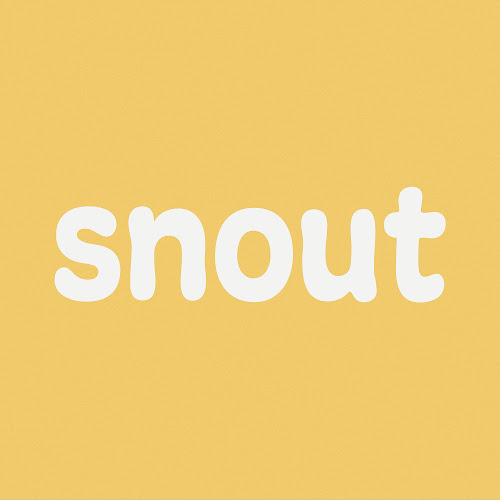Figma profile picture for @snout
