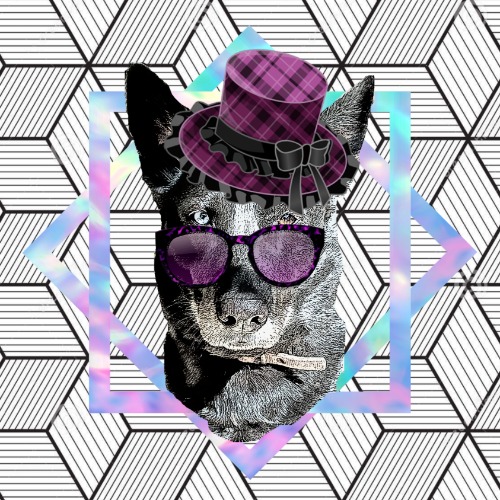 Figma profile picture for @yael