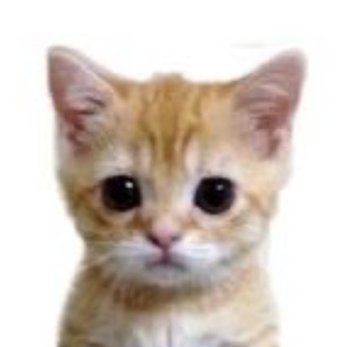 Figma profile picture for @purr