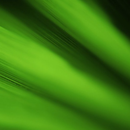 Figma profile picture for @fairies