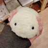 そーす